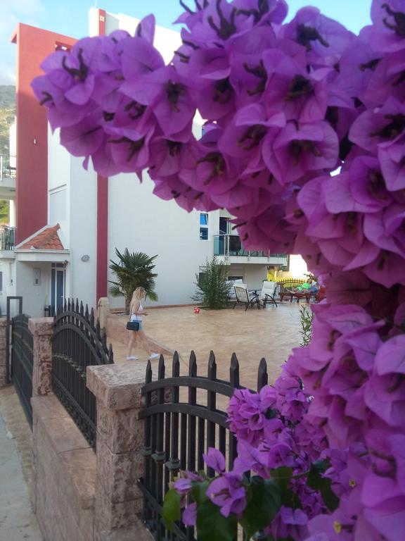 Apartments Vila A1 Dobra Voda Εξωτερικό φωτογραφία